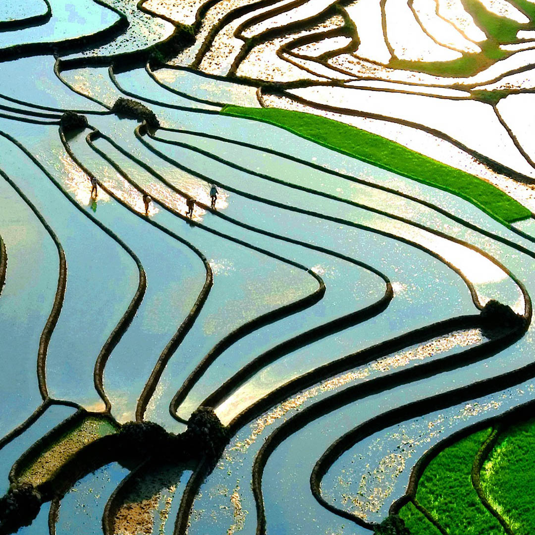 Trekking to Cat Cat Village - Sapa - Image 2